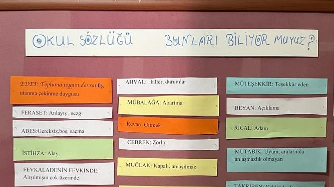 Dilimizin Zenginlikleri Projesi Pano çalışması